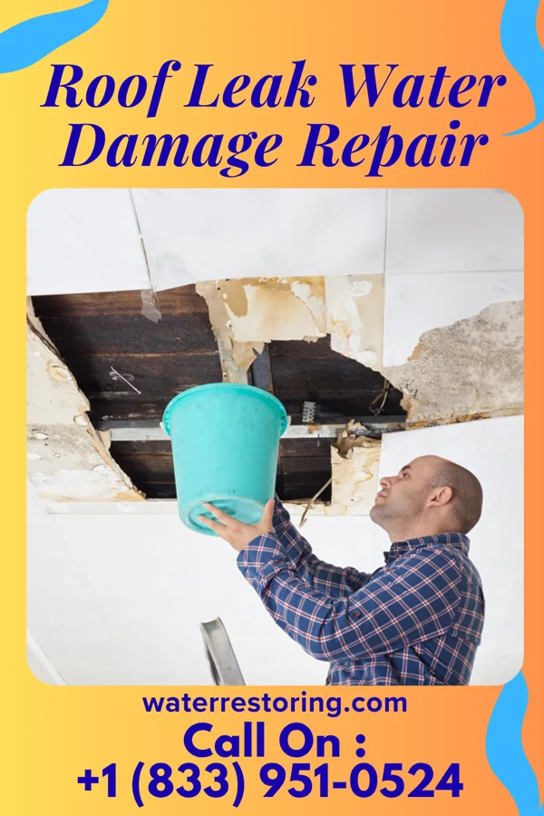 Roof Leak Water Damage Repair in Sioux City, IA