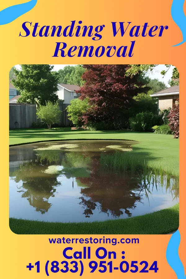 Standing Water Removal in Sioux City, IA